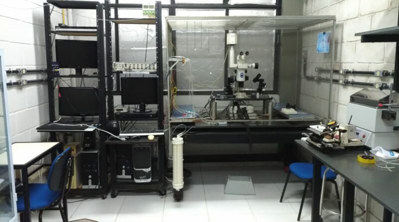 Setup de Eletrofisiologia no Laboratório de Neurociência Experimental e Computacional da UFSJ (Divulgação)