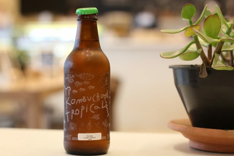 Cientistas pesquisam Kombucha, bebida queridinha das celebridades