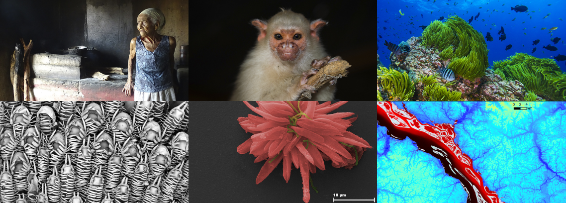 ciência & arte prêmio cnpq minas faz ciencia Abertas inscrições para prêmio de fotografia do CNPq