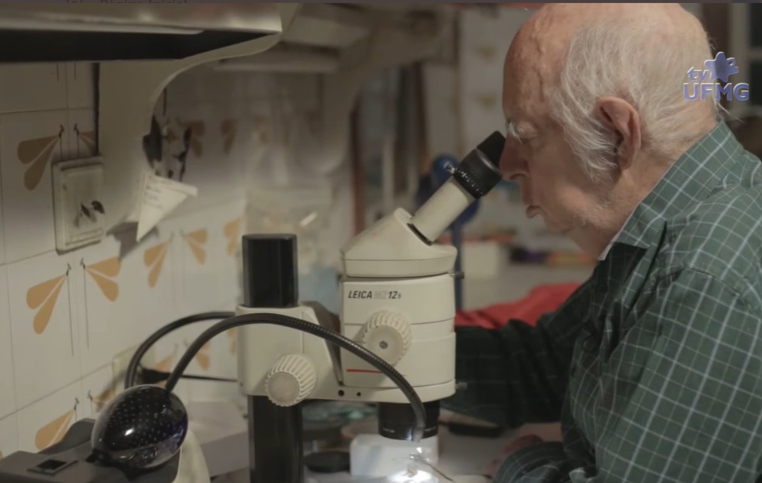 Professor Ângelo Machado: carismático entomologista, médico, ambientalista e escritor morre aos 85 anos