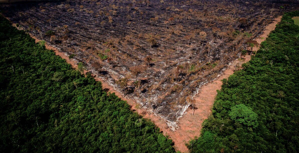 Pandemia, cortina de fumaça e destruição do meio ambiente brasileiro