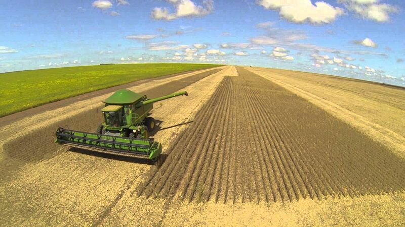 Propriedades são responsáveis por pequena parte do desmatamento. Imagem ilustrativa (Wikimedia Commons) Maçãs podres: agronegócio e desmatamento