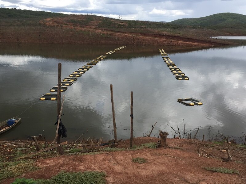 Cultivo de tilápia em Represa de Irapé Aquicultura: um caminho em construção
