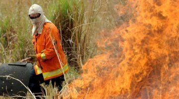 Tecnologia antiqueimada: ferramenta prevê comportamento do fogo no Cerrado