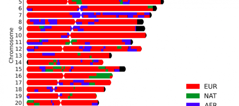 grafico_ 1_ crédito_Thiago Peixoto Leal